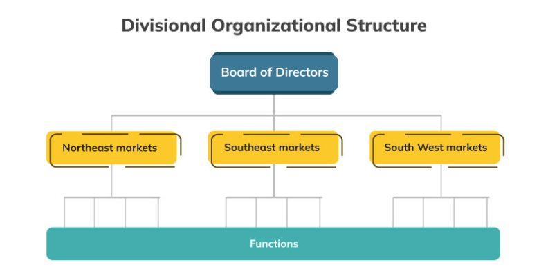 Cấu trúc tổ chức theo bộ phận (divisionalized structure)