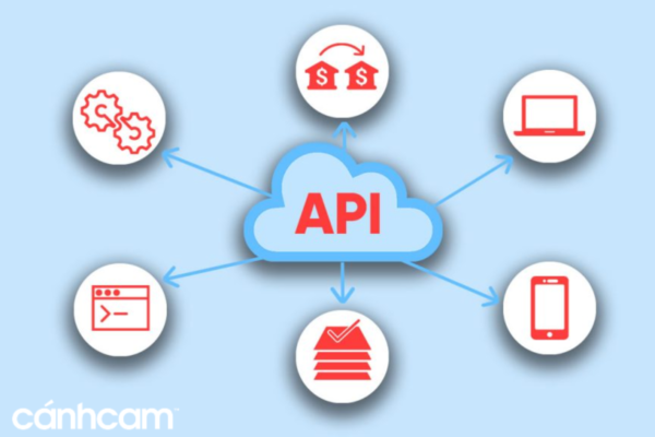 API marketing là gì?