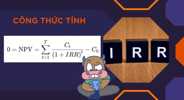 Công thức tính IRR kèm ví dụ minh hoạ